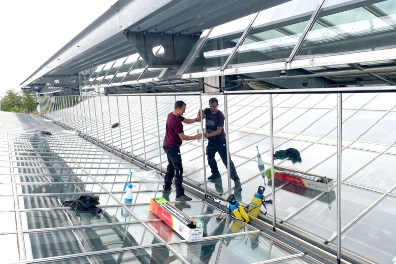 Zwei Arbeiter installieren Sonnenschutzfolierung auf einem Glasdach.