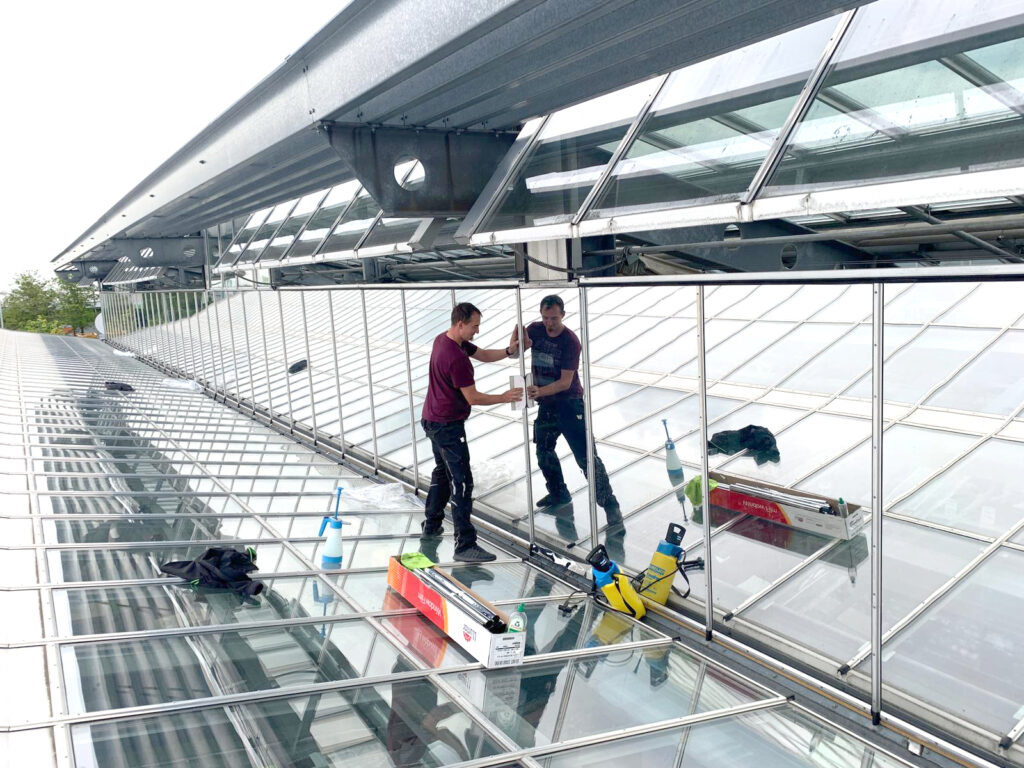 Zwei Arbeiter reinigen ein Glasdach mit Reinigungsmitteln und Werkzeugen.