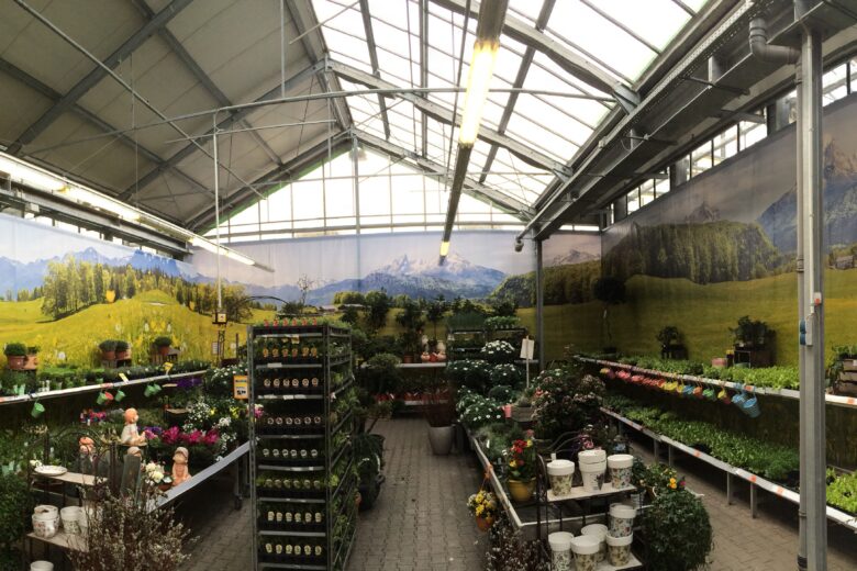Pflanzenverkaufsbereich mit Regalen voller Blumen und Wandbildern einer Landschaft mit Bergen und Wiesen.