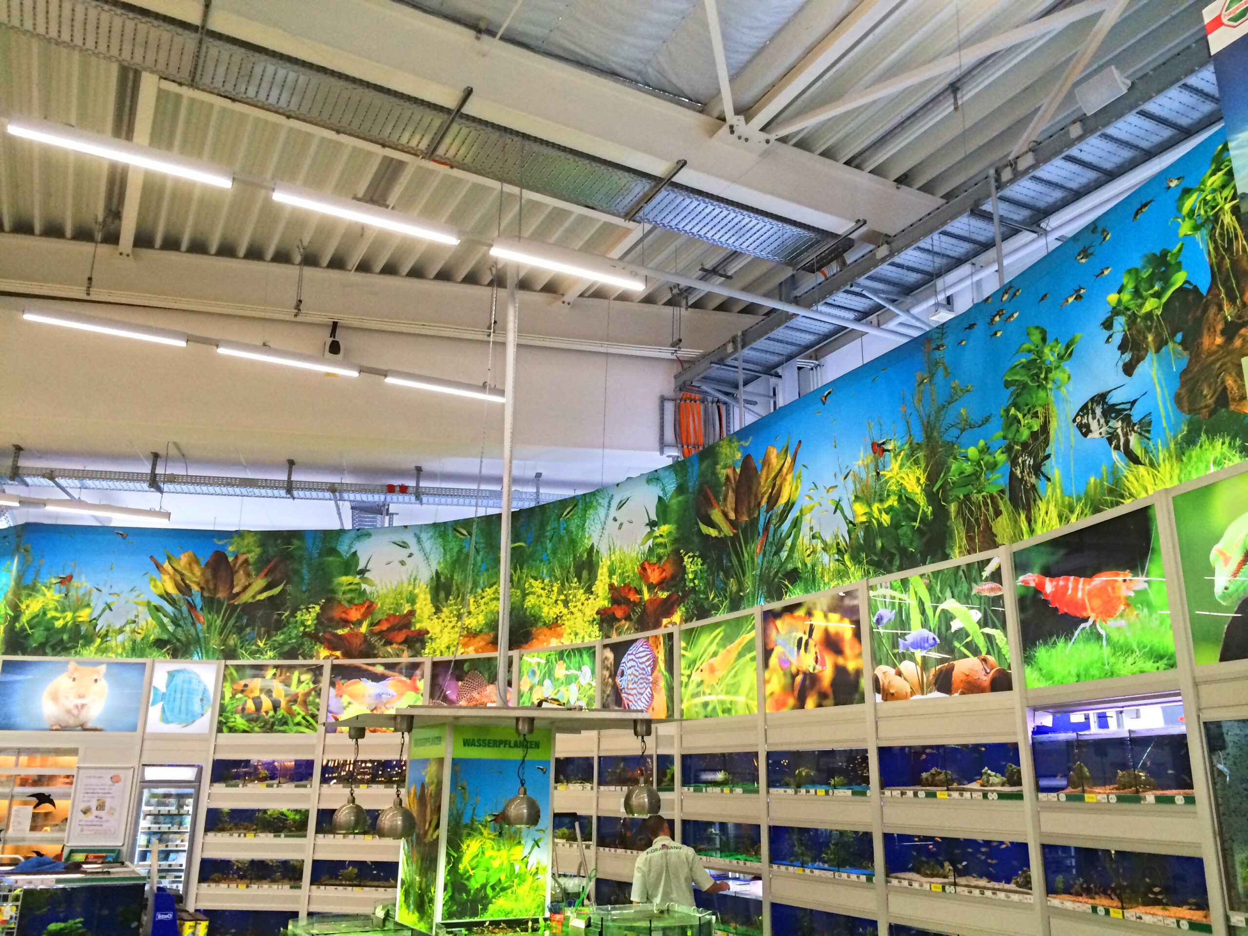 Bunte Wand mit Aquarienmotiven, die verschiedene Fischarten und Wasserpflanzen zeigt.
